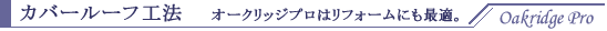カバールーフ工法
